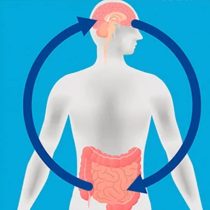 Trastornos del eje cerebro – intestinal ¿Más frecuente en mujeres?